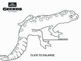 Crested Gecko Coloring Page 30 Gecko Coloring Pages Mycoloring Mycoloring