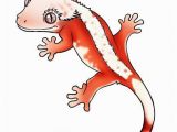 Crested Gecko Coloring Page Image Result for Crested Gecko Morphs Art Inspiration