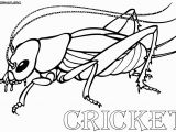 Cricket In Times Square Coloring Pages the Cricket In Times Square Pages Coloring Sketch Coloring