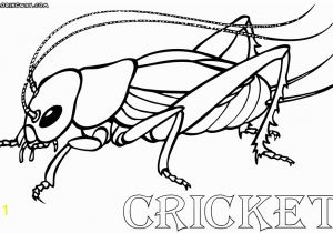 Cricket In Times Square Coloring Pages the Cricket In Times Square Pages Coloring Sketch Coloring