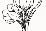 Crocus Coloring Page 25 Inspirational Spring Flower Coloring Pages