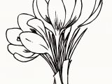 Crocus Coloring Page 25 Inspirational Spring Flower Coloring Pages