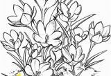 Crocus Coloring Page Crocus N 9 Kytky Pinterest