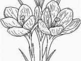 Crocus Coloring Page Pin by sona Medkova On Jaro Pinterest