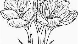 Crocus Coloring Page Pin by sona Medkova On Jaro Pinterest