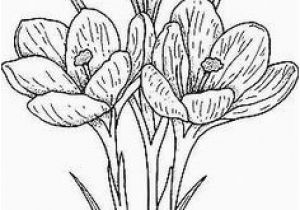 Crocus Coloring Page Pin by sona Medkova On Jaro Pinterest