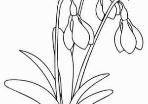 Crocus Coloring Page Snowdrop Flower Coloring Page for Printable Version