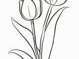 Crocus Coloring Page Two Tulips Coloring Page From Tulip Category Select From