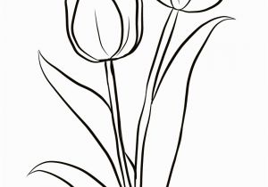 Crocus Coloring Page Two Tulips Coloring Page From Tulip Category Select From