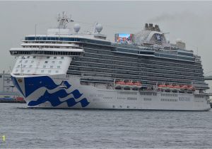 Cruise Ship Wall Mural World S Biggest Cruise Ships