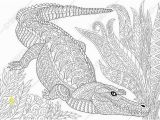 Cute Alligator Coloring Pages Crocodile Alligator 3 Coloring Pages Animal Coloring Book Pages