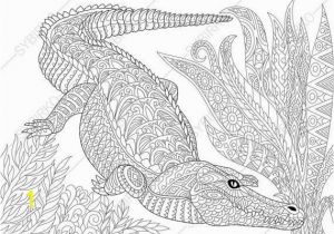 Cute Alligator Coloring Pages Crocodile Alligator 3 Coloring Pages Animal Coloring Book Pages