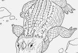 Cute Alligator Coloring Pages Free Printable Alligator Coloring Pages