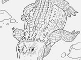 Cute Alligator Coloring Pages Free Printable Alligator Coloring Pages