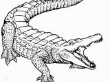 Cute Alligator Coloring Pages Free Printable Crocodile Coloring Pages for Kids