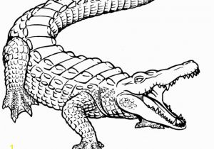 Cute Alligator Coloring Pages Free Printable Crocodile Coloring Pages for Kids