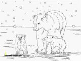 Cute Animal Coloring Pages Free Baby Animal Coloring Pages Image Detail for Coloring Pages