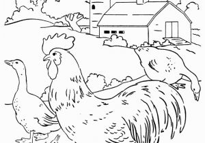 Cute Baby Chick Coloring Pages Farm Scenes Coloring Page