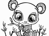 Cute Baby Chick Coloring Pages Owl Coloring Pages Free Printables