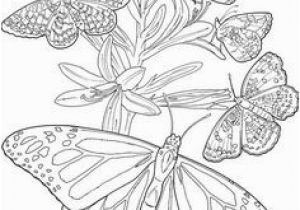 Cute butterfly Coloring Pages 30 Best Super Coloring Pages Images