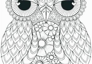 Cute Coloring Pages Of Owls Cute Owl Coloring Page Owl Coloring Pages Owl Color Pages Owl Color