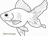 Cute Goldfish Coloring Pages 30 Goldfish Coloring Page