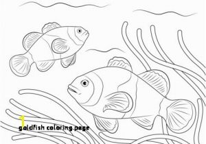 Cute Goldfish Coloring Pages 30 Goldfish Coloring Page