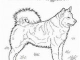 Cute Husky Puppy Coloring Pages Dog Color Pages Printable Husky Coloring Page