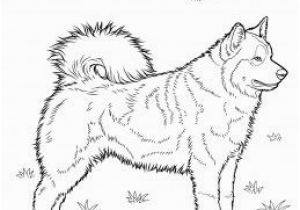 Cute Husky Puppy Coloring Pages Dog Color Pages Printable Husky Coloring Page