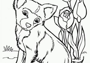 Cute Husky Puppy Coloring Pages Husky Coloring Pages Artworkâ Arts and Crafts Pinterest