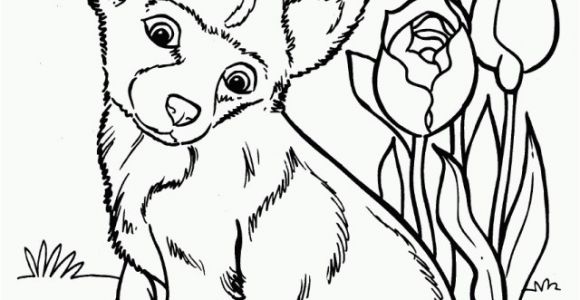 Cute Husky Puppy Coloring Pages Husky Coloring Pages Artworkâ Arts and Crafts Pinterest