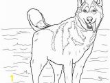 Cute Husky Puppy Coloring Pages Husky Coloring Pages Siberian Husky Seska Pinterest
