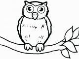 Cute Owl Coloring Pages Coloring Pages Owls Cartoon Owl Coloring Pages Cute Owl Coloring