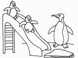 Cute Penguin Coloring Pages Free Club Penguin Coloring Pages Print Download Free Clip