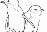 Cute Penguin Coloring Pages Two Little Blue Penguins Coloring Page