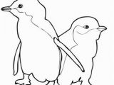 Cute Penguin Coloring Pages Two Little Blue Penguins Coloring Page