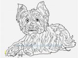 Cute Yorkie Coloring Pages 15 Luxury Yorkie Coloring Pages