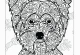 Cute Yorkie Coloring Pages Cute Yorkie Coloring Pages Inspirational Yorkshire Terrier Coloring