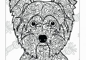 Cute Yorkie Coloring Pages Cute Yorkie Coloring Pages Inspirational Yorkshire Terrier Coloring