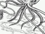 Cuttlefish Coloring Pages Squid Coloring Pages Lovely Fresh Witch Coloring Page Inspirational