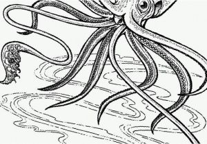 Cuttlefish Coloring Pages Squid Coloring Pages Lovely Fresh Witch Coloring Page Inspirational