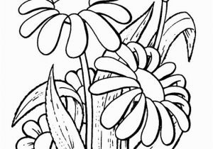 Daisy Flower Garden Journey Coloring Pages 87 Best Images About Gs Coloring Pages & Printables On