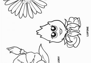 Daisy Girl Scout Flower Friends Coloring Pages Morning Glory Lupine and Daisy