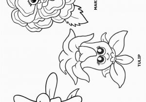 Daisy Girl Scout Flower Friends Coloring Pages Printer Friendly Version