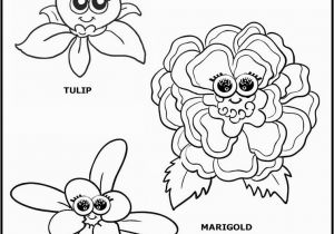 Daisy Girl Scout Flower Friends Coloring Pages the top 25 Ideas About Girl Scout Flower Friends Coloring