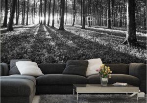 Dark forest Wall Mural Bws Black & White forest