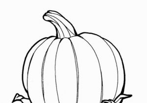 Decorate A Pumpkin Coloring Page 195 Pumpkin Coloring Pages for Kids