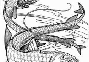 Deep Sea Diver Coloring Page Viper Fishes Coloring Page More Coloring Pages Pinterest