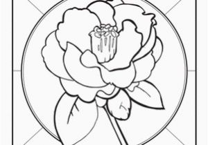 Delaware State Flower Coloring Page Alabama State Flower School Ideas Pinterest