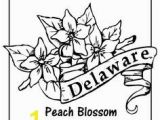 Delaware State Flower Coloring Page New York State Flower Design Pinterest